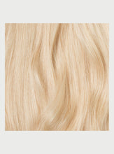 Load image into Gallery viewer, 20" Classic Ash Blonde Clip-Ins - 20" (220g)