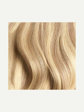 Load image into Gallery viewer, Sample Dirty Blonde Highlights