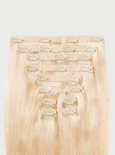 Load image into Gallery viewer, 20" Classic Ash Blonde Clip-Ins - 20" (220g)
