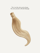 Load image into Gallery viewer, 20" Jet Black Ponytail - 20" (120g)
